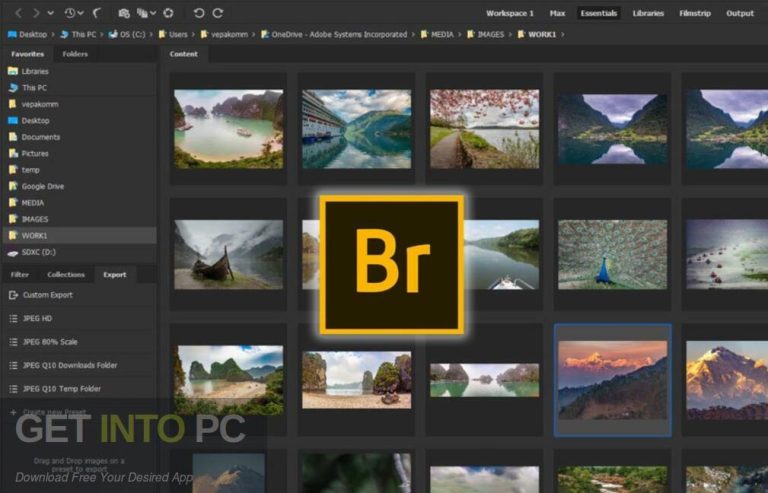 Adobe Bridge 2025 Drirect Link Free Download GetintoPC