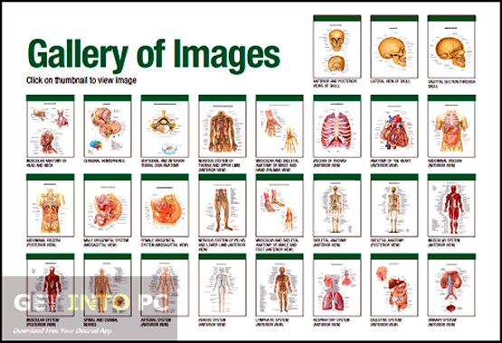 Stedmans Electronic Medical Dictionary 7 Latest Version Download