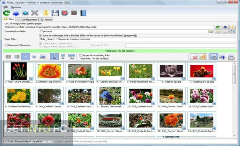 Bulk Image Downloader 2025 Full Offline Installer Free Download GetintoPC