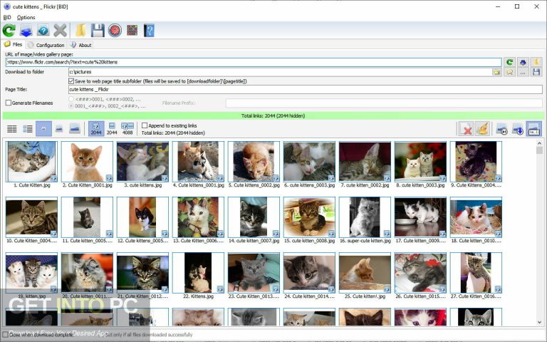 Bulk Image Downloader 2025 Latest Version Free Download GetintoPC